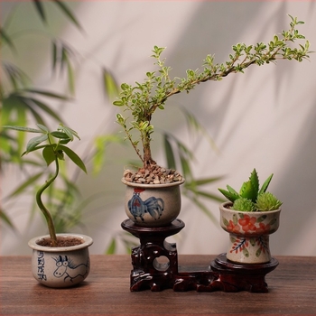 Ghiveci ceramic pentru suculente, pictat manual, respirabil, montaj pe perete sau pe birou, cu opțiune de agățare, stil chinezesc