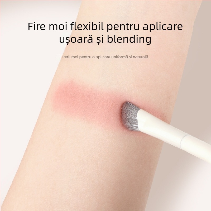 Xiangyu set de pensule de machiaj multifuncțional - 10 piese, peri din fibre sintetice, mâinere din plastic, ambalaj în cutie