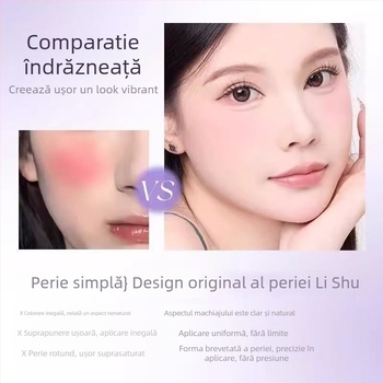 Lishu set de pensule blush, 4 piese, într-o cutie, pentru aplicarea machiajului, potrivit pentru orice tip de ten.