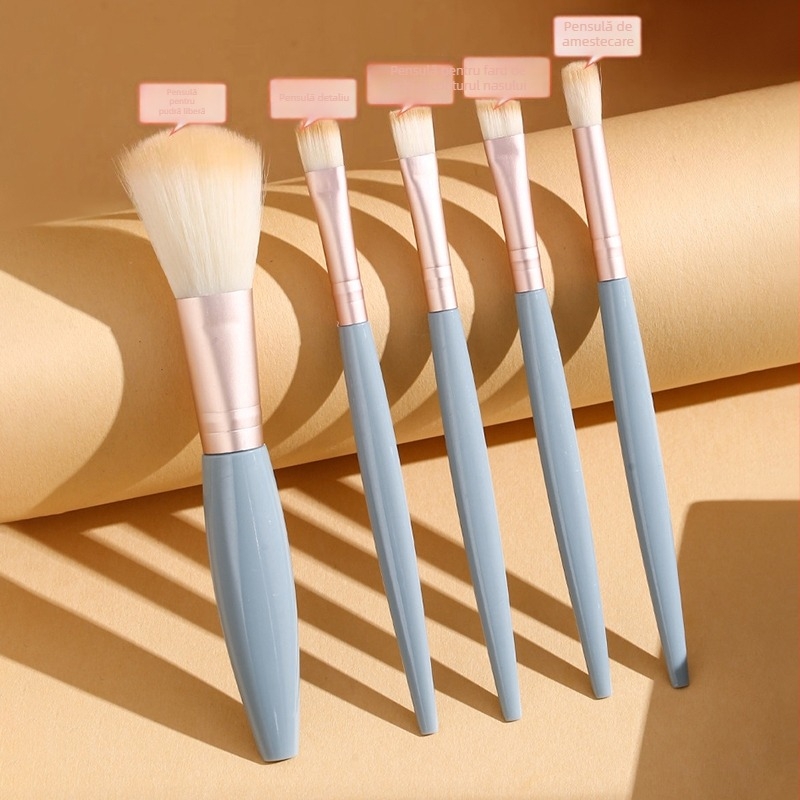 Set de 5 pensule de machiaj, peri din nailon, mâner din plastic, ambalat într-o cutie, design portabil