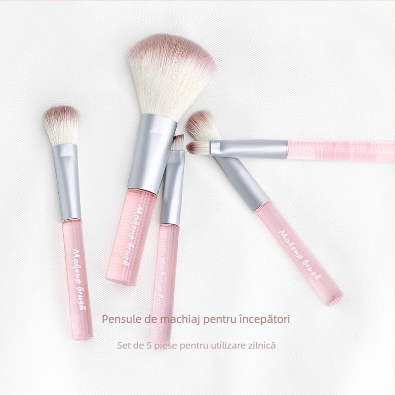 Set de 5 pensule de machiaj cu peri sintetice, mânere acrilice, în cutie — pensule pentru fard de ochi, pudră, blush, contur, umbră nasului și iluminator.