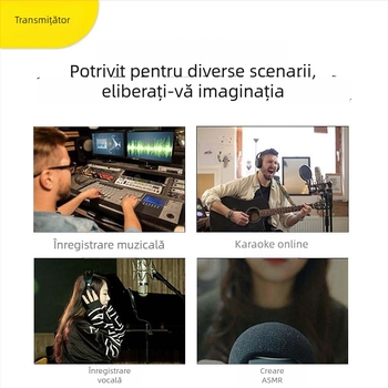 Voice Tone Q12 USB Mini Mixer 2-Canale pentru înregistrare pe calculator și streaming live (220V, 5W, stereo)