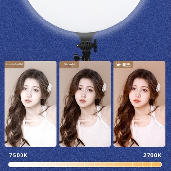 PF-45 Lumină portabilă pentru fotografie pentru streaming live, soclu E27, 220V