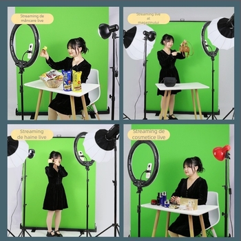 Fundal din pânză pentru fotografii de costume — roll-up portabil, cu carcasă din aluminiu și țesătură Oxford