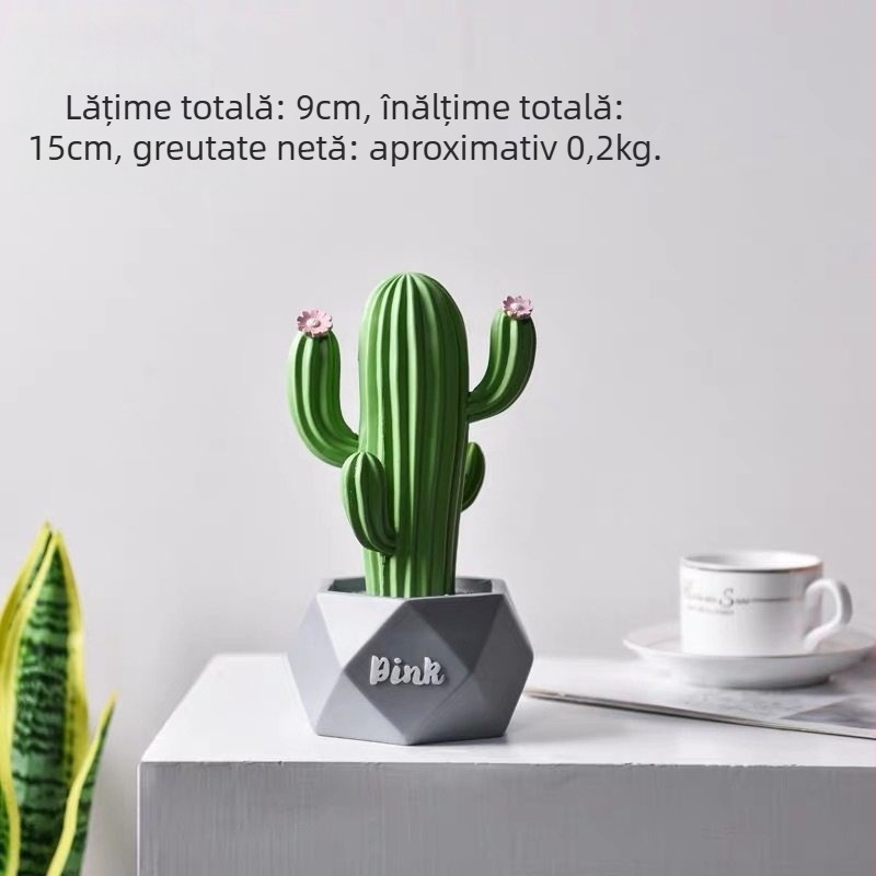 Recuzită fotografică cu cactus — decor de birou în stil Instagram