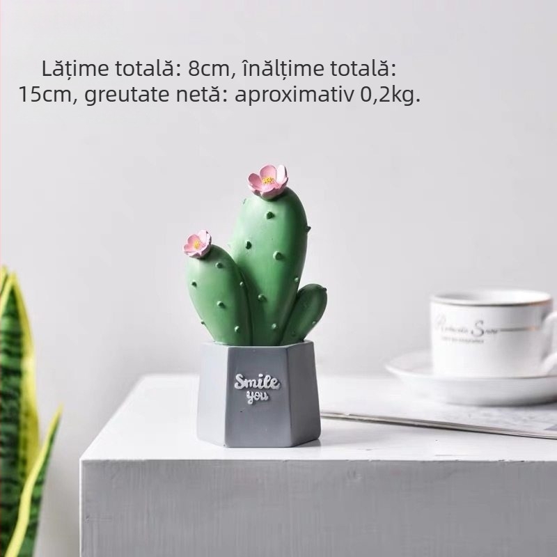 Recuzită fotografică cu cactus — decor de birou în stil Instagram