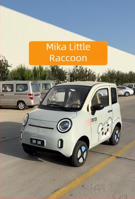 Visor impermeabil din cauciuc pentru vehicule electrice, montaj cu adeziv, pachet cu 2 bucăți, compatibil cu mai multe modele