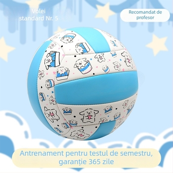 Minge de volei pentru antrenament de interior, din piele de vită, cu posibilități de personalizare; imprimarea siglei nu este disponibilă