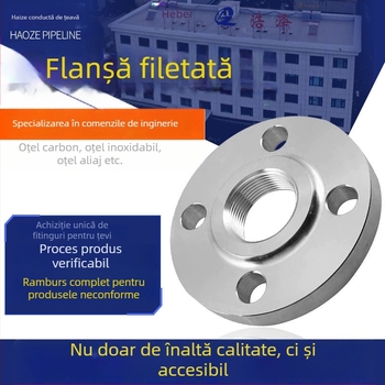 Flanșă cu filet interior, oțel inoxidabil 304/316L, forjat, rezistent la înaltă presiune, conectare cu șurub