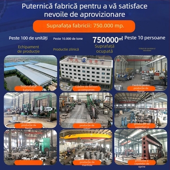 Flanșă cu filet interior, oțel inoxidabil 304/316L, forjat, rezistent la înaltă presiune, conectare cu șurub