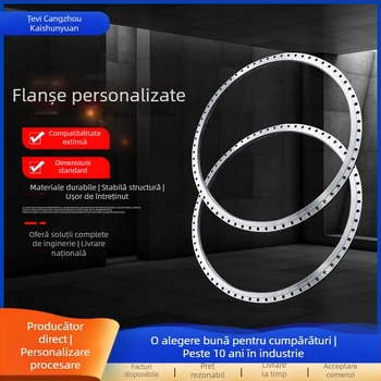 Flanșă din oțel carbon, tip orizontal, conectare prin sudură, model 10, grad 1