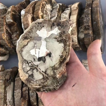 Felie de lemn fosilizat – Piatră decorativă geometrică, Brand Garden Crystal Stone, Ambalaj PP în pungă, Bază pentru ceai