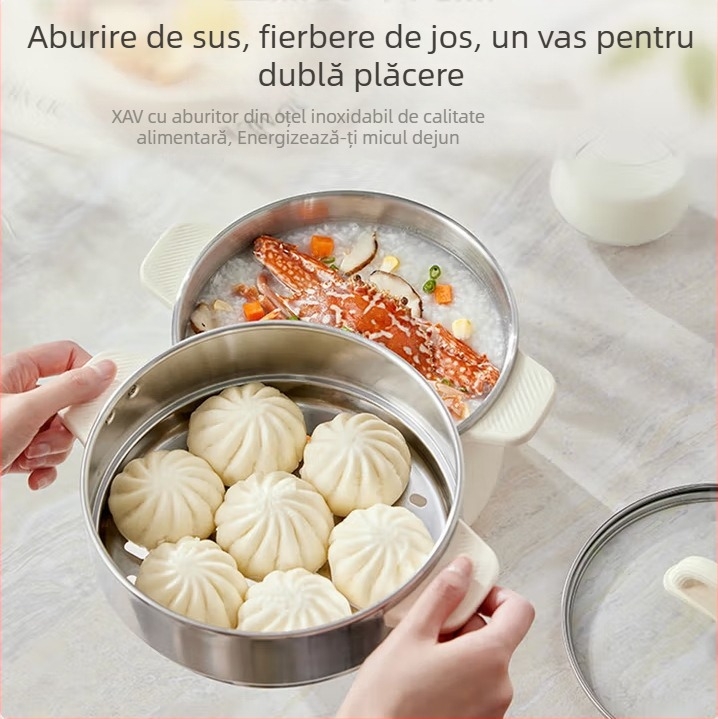 Oală electrică pentru gătit cu vas interior din oțel inoxidabil, capacitate 2.1–4 L, design cu două straturi, control prin buton, abur rapid