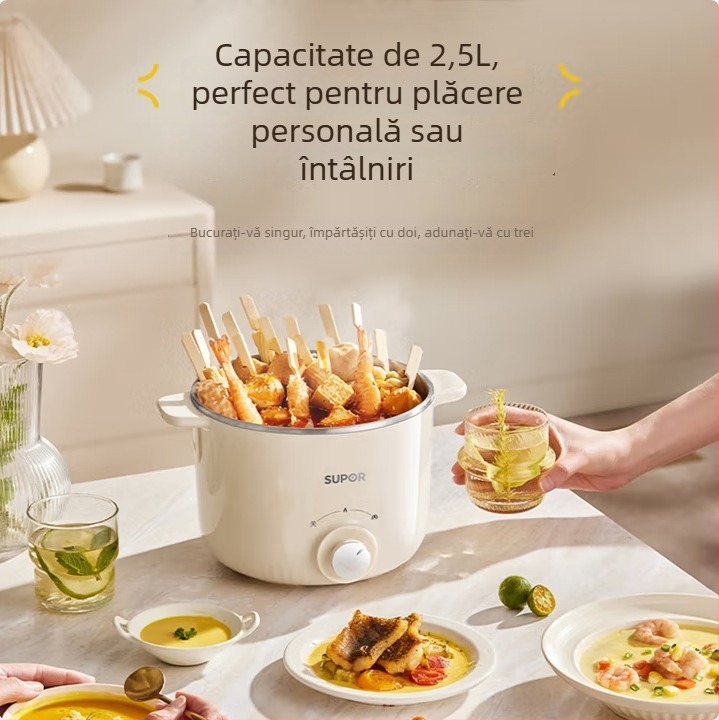 Oală electrică pentru gătit cu vas interior din oțel inoxidabil, capacitate 2.1–4 L, design cu două straturi, control prin buton, abur rapid