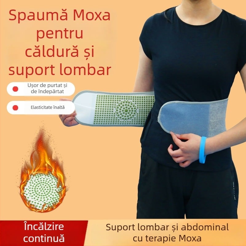 Protecție talie cu spumă din pelin — Leclerc (Brand: Leclerc; Material: Pelin; Potrivit pentru: Universal; Sporturi: Volei; Zone protejate: Talie)