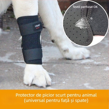 Protecție pentru laba din spate a animalelor de companie – protecție pentru genunchi și bandă de fracturi pentru câini și pisici, universală. (Material: Pânză; Stil: Protecție; Funcții: Menține căldura, Rezistentă la uzură)