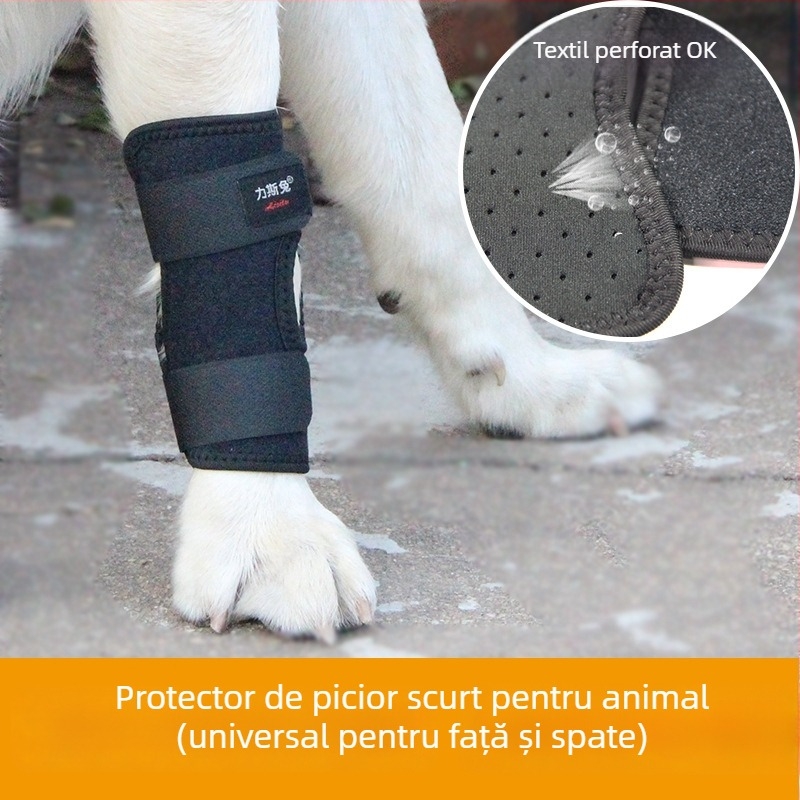 Protecție pentru laba din spate a animalelor de companie – protecție pentru genunchi și bandă de fracturi pentru câini și pisici, universală. (Material: Pânză; Stil: Protecție; Funcții: Menține căldura, Rezistentă la uzură)