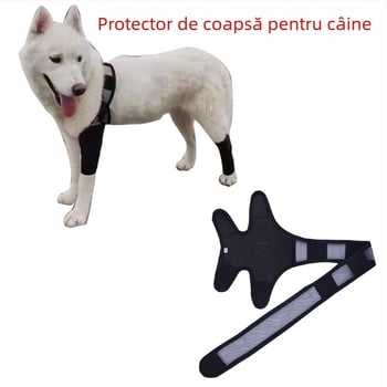 Protecție ortopedică pentru picioarele câinelui (față și spate) cu pernă pentru genunchi, din pânză • Material: pânză • Potrivit pentru câini • Funcție: protecție