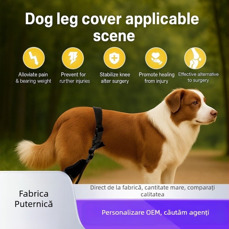 Set protecție pentru piciorul din spate al câinelui — protecție genunchi și bandă de protecție a articulației (Material: fibră poliesterică; Număr articol: K031; Destinat: câini; Funcție: protecție articulară)