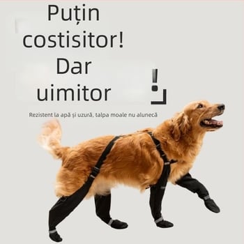 Pantofi pentru câini — Material Silk Flower, Pentru câini, Stil universal, Origine: Altele