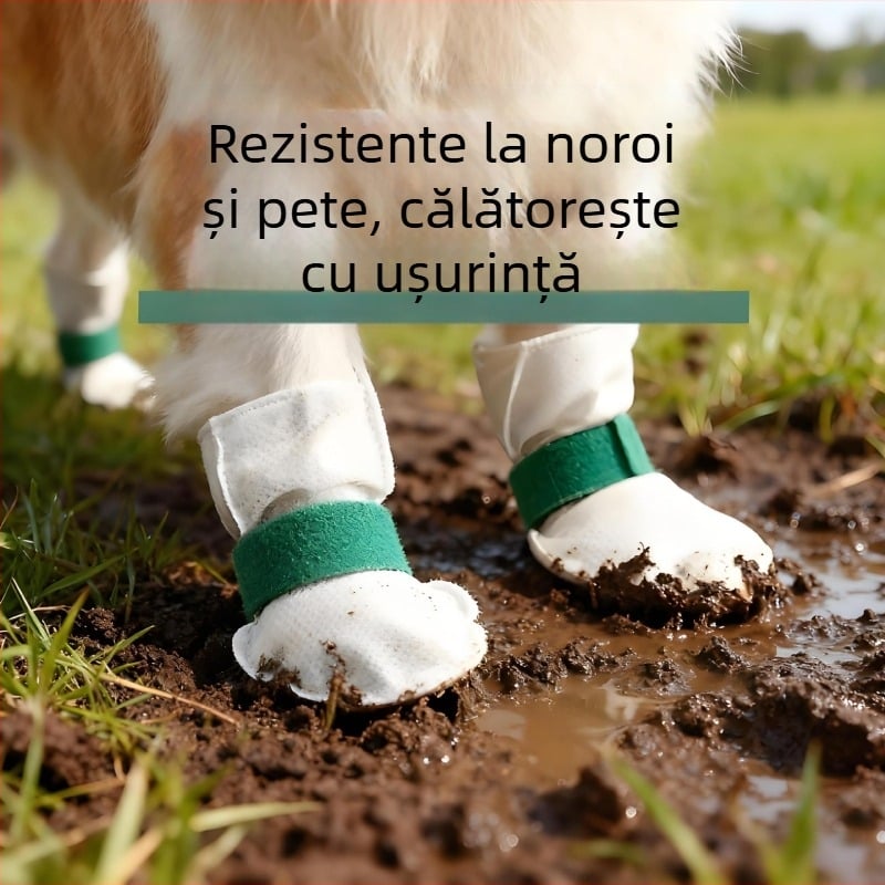 Coveruri de pantofi pentru animale de companie, de unică folosință – material nețesut, marcă Friendly, utilizare universală