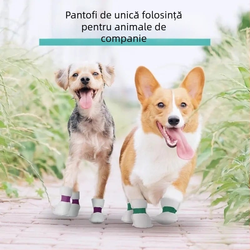 Coveruri de pantofi pentru animale de companie, de unică folosință – material nețesut, marcă Friendly, utilizare universală