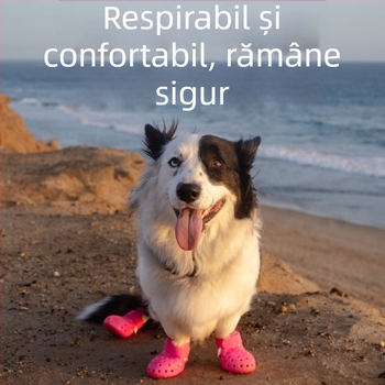 Pantofi pentru câini din cauciuc pentru ploaie — impermeabili, antiderapante, rezistenți la uzură, decorativi.