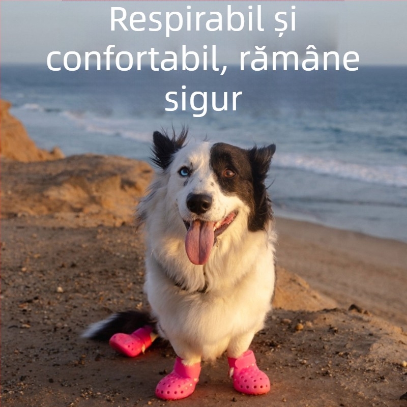 Pantofi pentru câini din cauciuc pentru ploaie — impermeabili, antiderapante, rezistenți la uzură, decorativi.