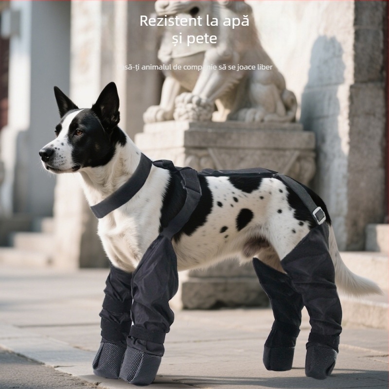 Pantaloni anti-praf pentru câini, stil leisure (fibră de poliester; brand: Pet taro; categorie produs: pantaloni anti-praf; utilizare generală)