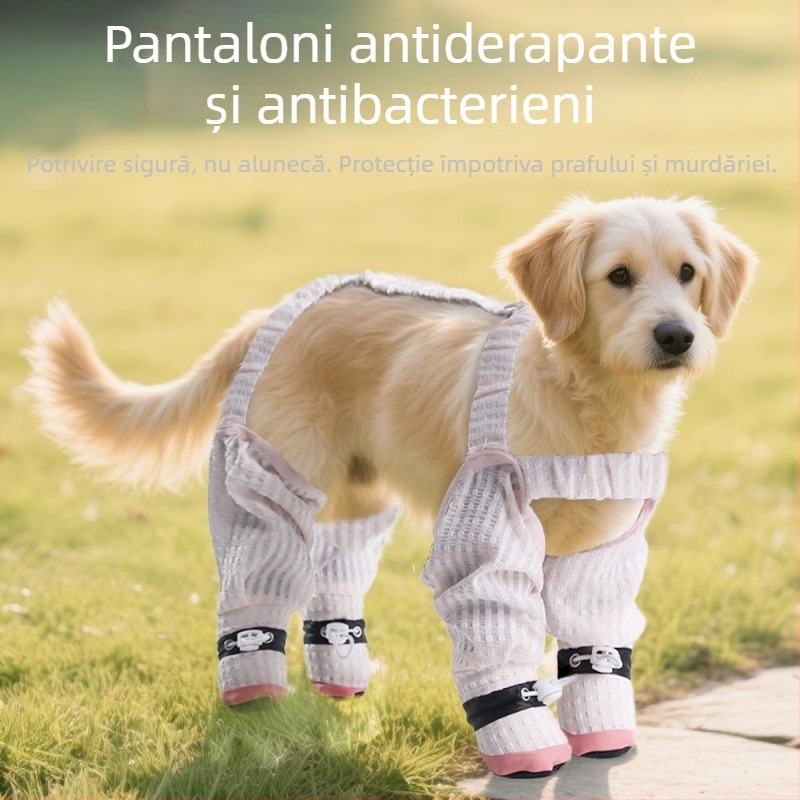 Pantaloni anti-praf pentru câini, stil leisure (fibră de poliester; brand: Pet taro; categorie produs: pantaloni anti-praf; utilizare generală)