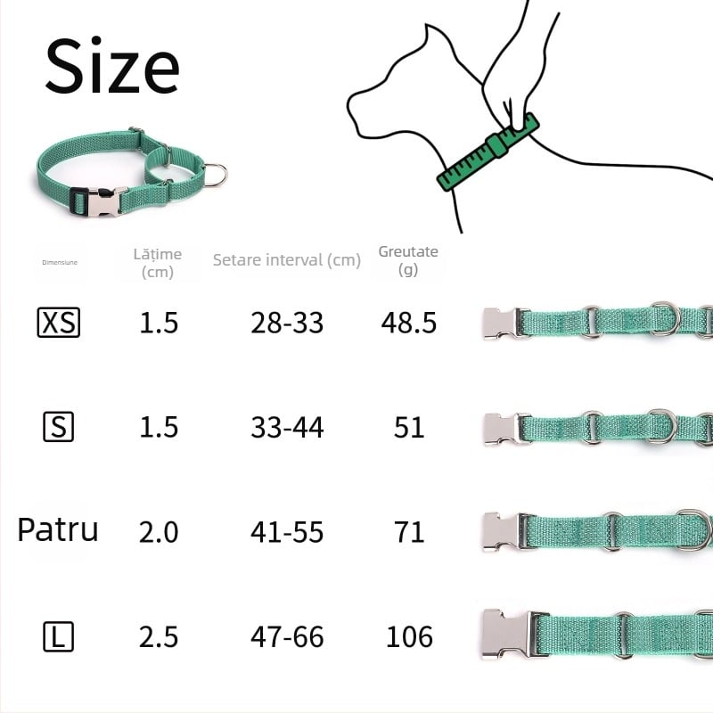 Lesă pentru câini Martingale din nylon cu stea reflectorizantă și nume gravat