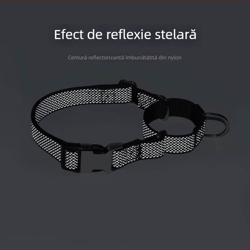 Lesă pentru câini Martingale din nylon cu stea reflectorizantă și nume gravat