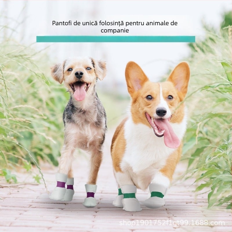 MAJIYAHE Capace de pantofi pentru animale de companie – antiderapante, stil casual, universale, modelul 001