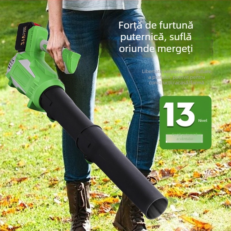 Pistol de suflare praf, motor fără peri, baterie litiu reîncărcabilă, 21V, putere industrială înaltă