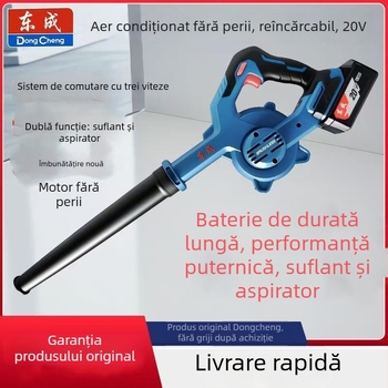 Uscător de păr fără fir, cu baterie litiu, putere mare, 220V, accesoriu vid inclus