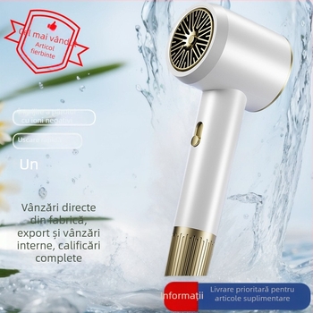 Uscător de păr cu motor DC cu peri, 1500W, 220V, aer rece/calduros, protecție la supraîncălzire