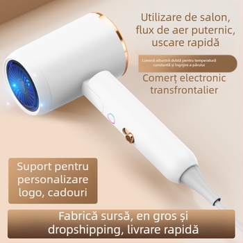 Uscător de păr L6, pliabil, 2400W, 220V, aer rece/cald