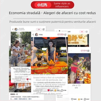 Yizhifu Sucitor Manual de Citrice din Oțel Inoxidabil 304 pentru Suc de Portocale