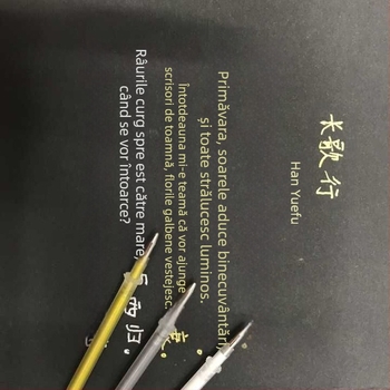 Refil Jinsheng pentru pix, Modelul 666, Lățime linie 0,7 mm, 100 buc./ambalaj