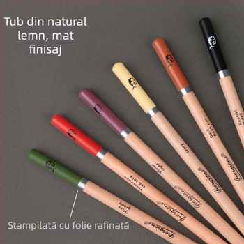 Set de 24 creioane de cărbune pentru schițe profesionale – pentru studenți la artă, corp din lemn, 2B, ambalaj de bază, cod produs G-09606