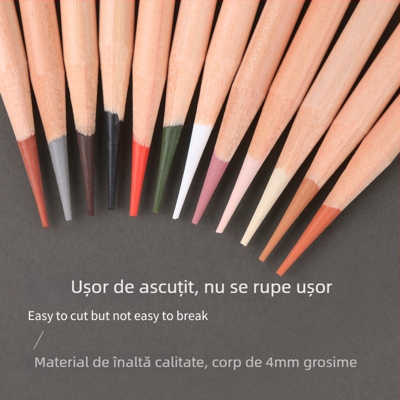 Set de 24 creioane de cărbune pentru schițe profesionale – pentru studenți la artă, corp din lemn, 2B, ambalaj de bază, cod produs G-09606