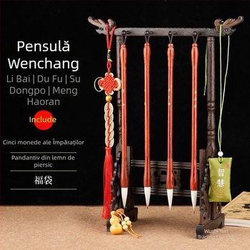 Set cu 4 pensule de caligrafie și suport pentru pix, unisex, stil student, poezii Li Bai și Du Fu gravate, decor pentru birou