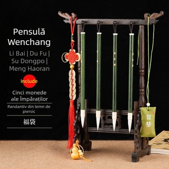 Set cu 4 pensule de caligrafie și suport pentru pix, unisex, stil student, poezii Li Bai și Du Fu gravate, decor pentru birou
