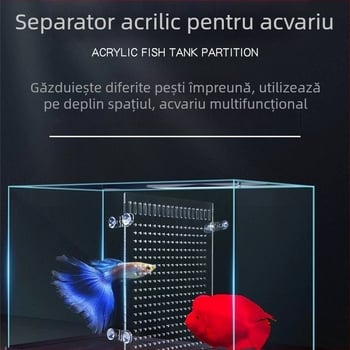 Divizor pentru acvariu din acril microporos, netoxic; capac pentru pui Lo Han și separator din plasă