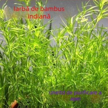 Filtru pentru acvariu — marca Shi Ya, neimportat, Echipament pentru acvarii