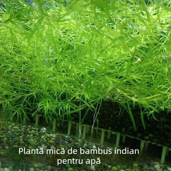 Filtru pentru acvariu — marca Shi Ya, neimportat, Echipament pentru acvarii