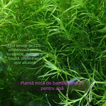 Filtru pentru acvariu — marca Shi Ya, neimportat, Echipament pentru acvarii