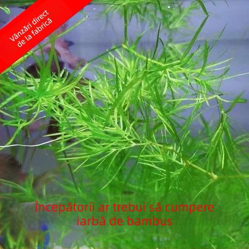 Filtru pentru acvariu — marca Shi Ya, neimportat, Echipament pentru acvarii