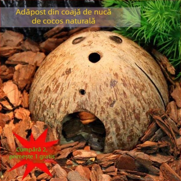 Natural coconut shell reptile cave hideout for lizards, geckos, spiders, snakes, scorpions, hamsters, centipedes and hermit crabs; material: coconut shell; purpose: reptile and small-pet habitat; imported: No