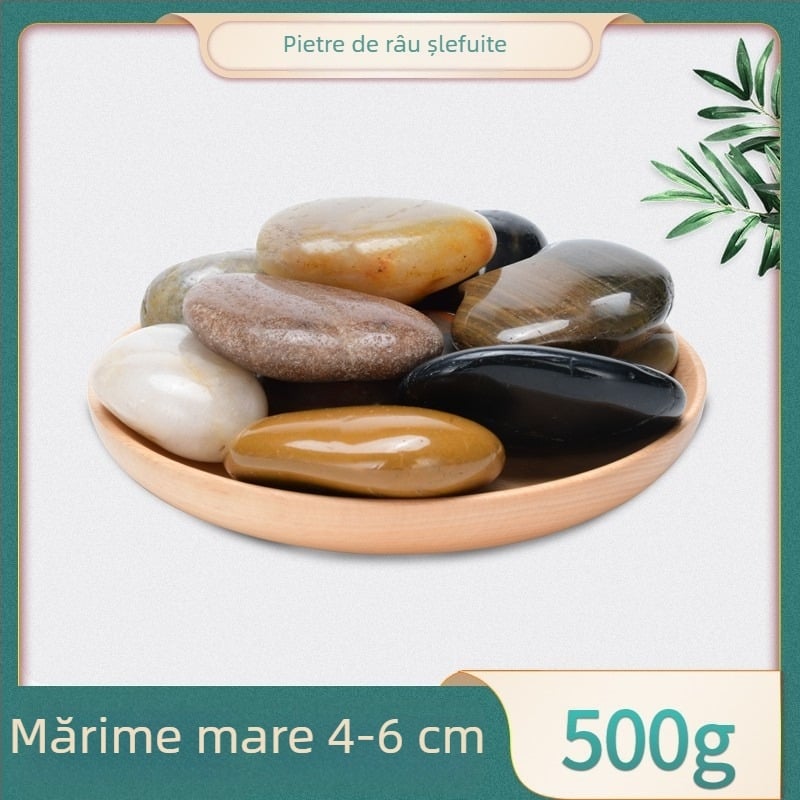 Decorațiune pentru peisaj de acvariu cu pietre naturale Rain Flower, pietriș și aranjamente cu suculente și plante în ghivece